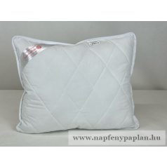Állítható töltetű Antibakteriális nagypárna (68x88)