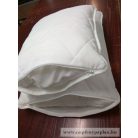 Állítható töltetű Antibakteriális kispárna (38x48)