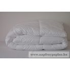 Antibakteriális paplan (135x200, őszi-tavaszi)