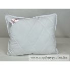 Antibakteriális párna (38x48)