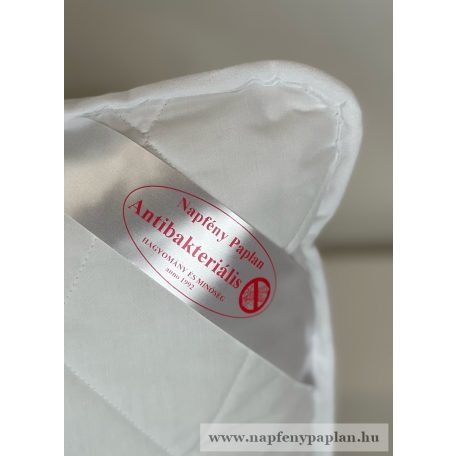 Antibakteriális párna (38x48)