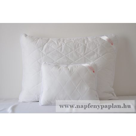 Antibakteriális párna (38x48)