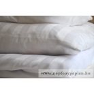 Liverpool 27 párnahuzat (60x80)