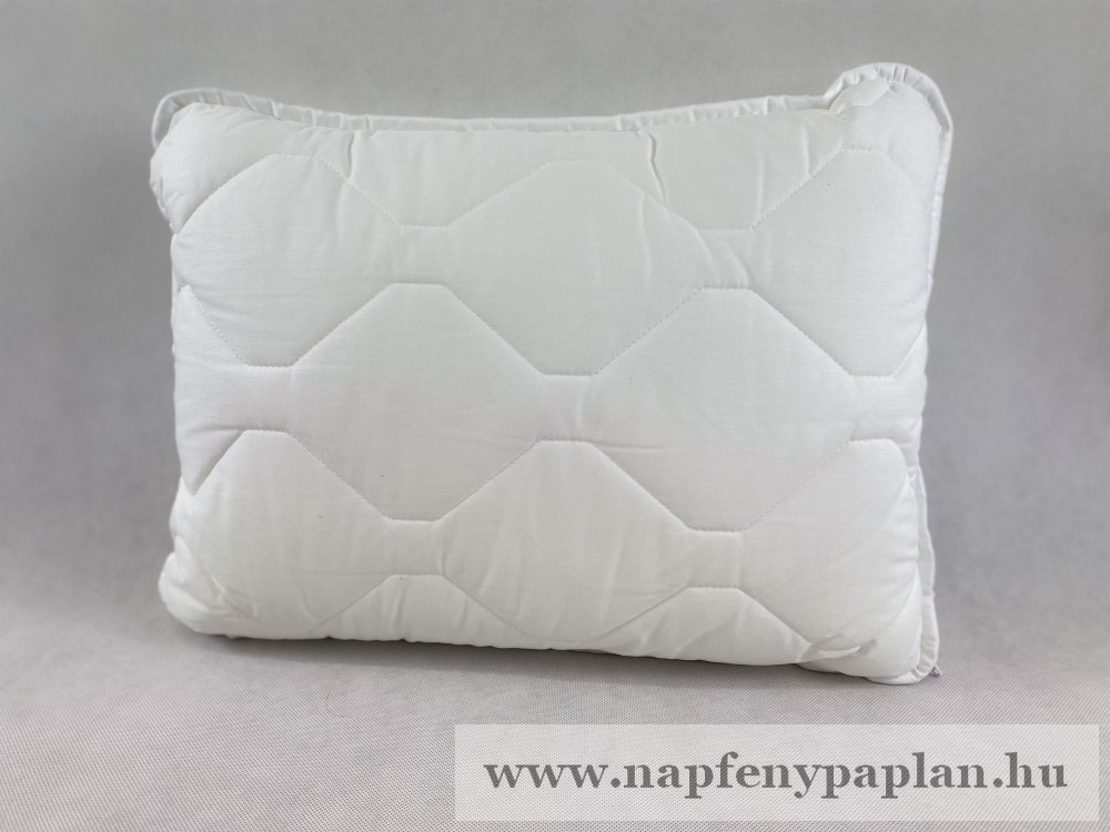 Image of Medical párna (50x70)