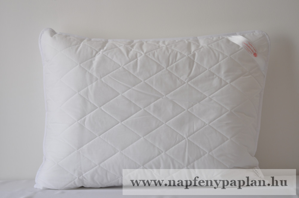Image of Antibakteriális párna (60x80)